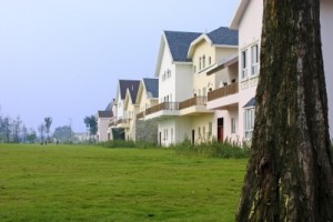 nz house prices too high?
