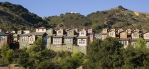 politics of nz housing